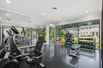 The village at wesley chapel fitness studio